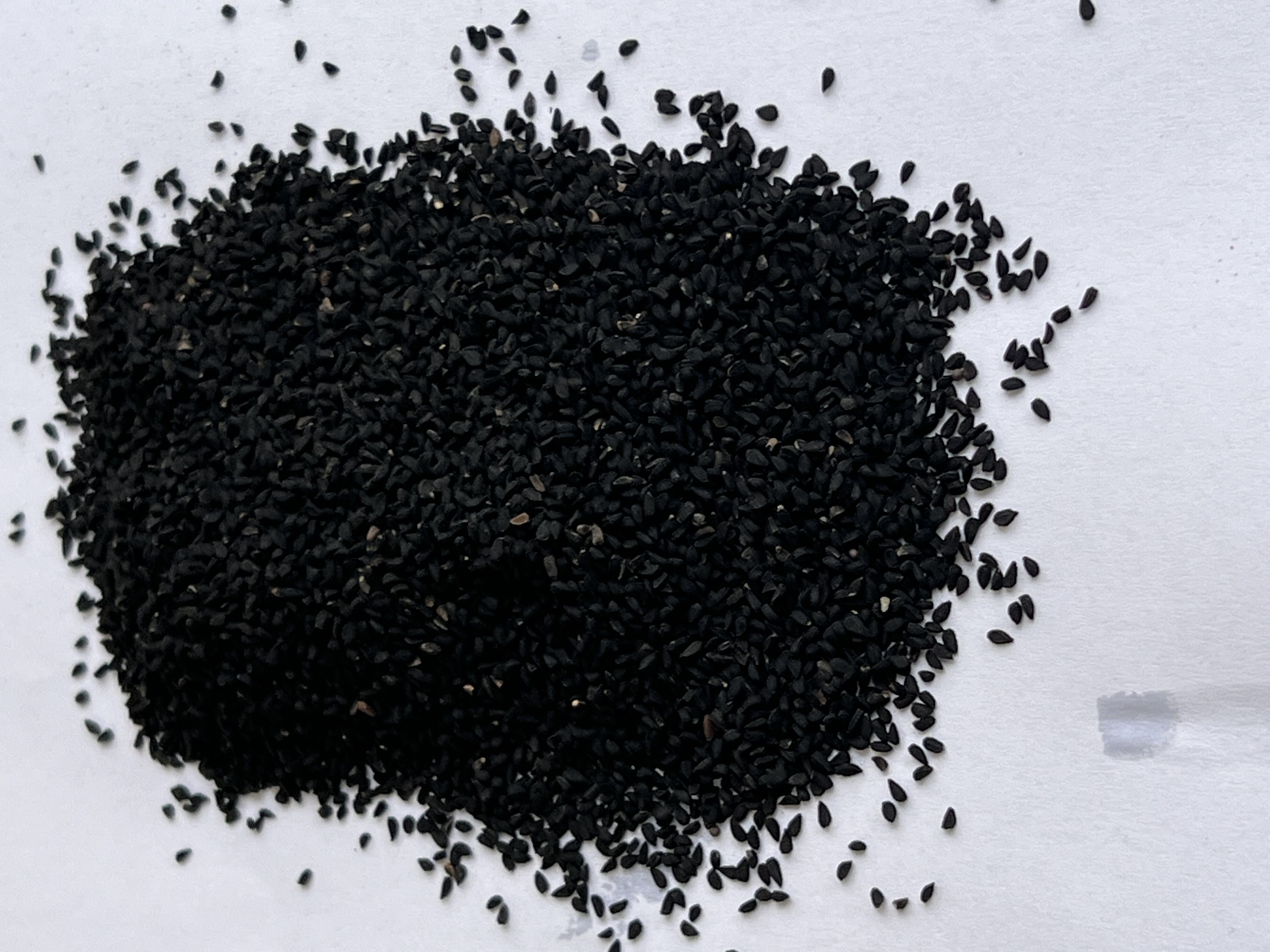 Schwarzkümmel Ganz (Kalonji, Nigella seeds, Sativa oder Schwarze Zwiebelsamen)